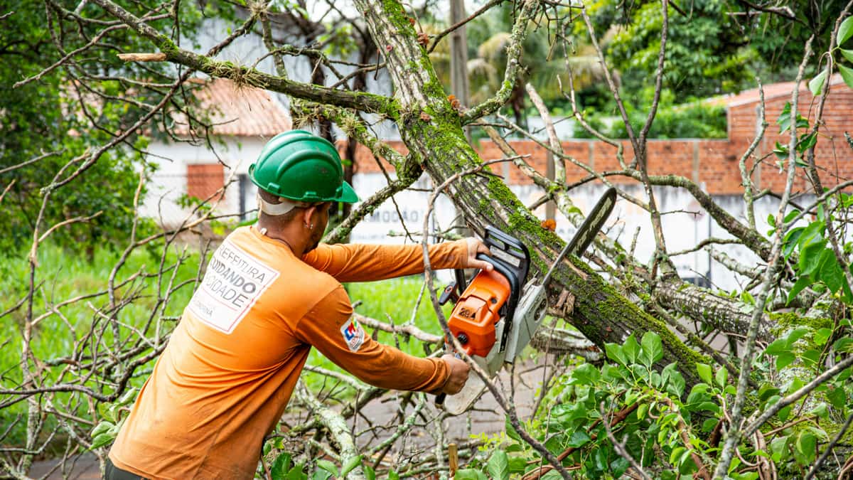 Budget Tree Services
